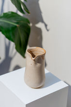 Load image into Gallery viewer, Coyote Jug