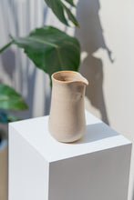 Load image into Gallery viewer, Coyote Jug